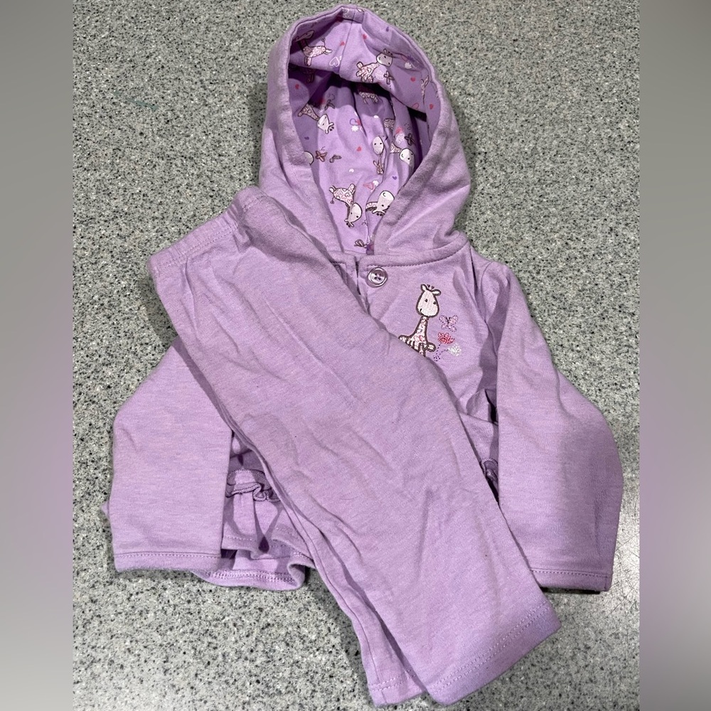 6-9 Month Absorba Purple Giraffe Set